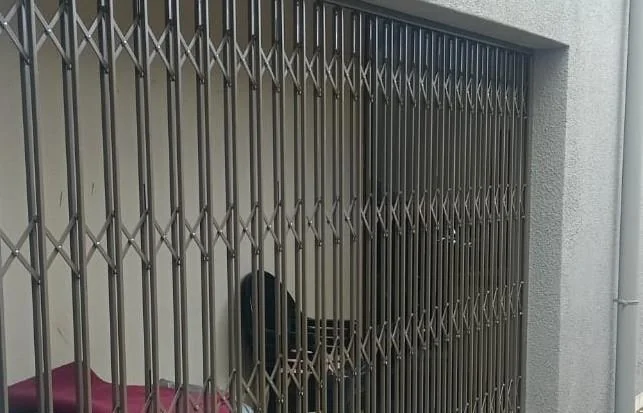 Security gate and fencing project